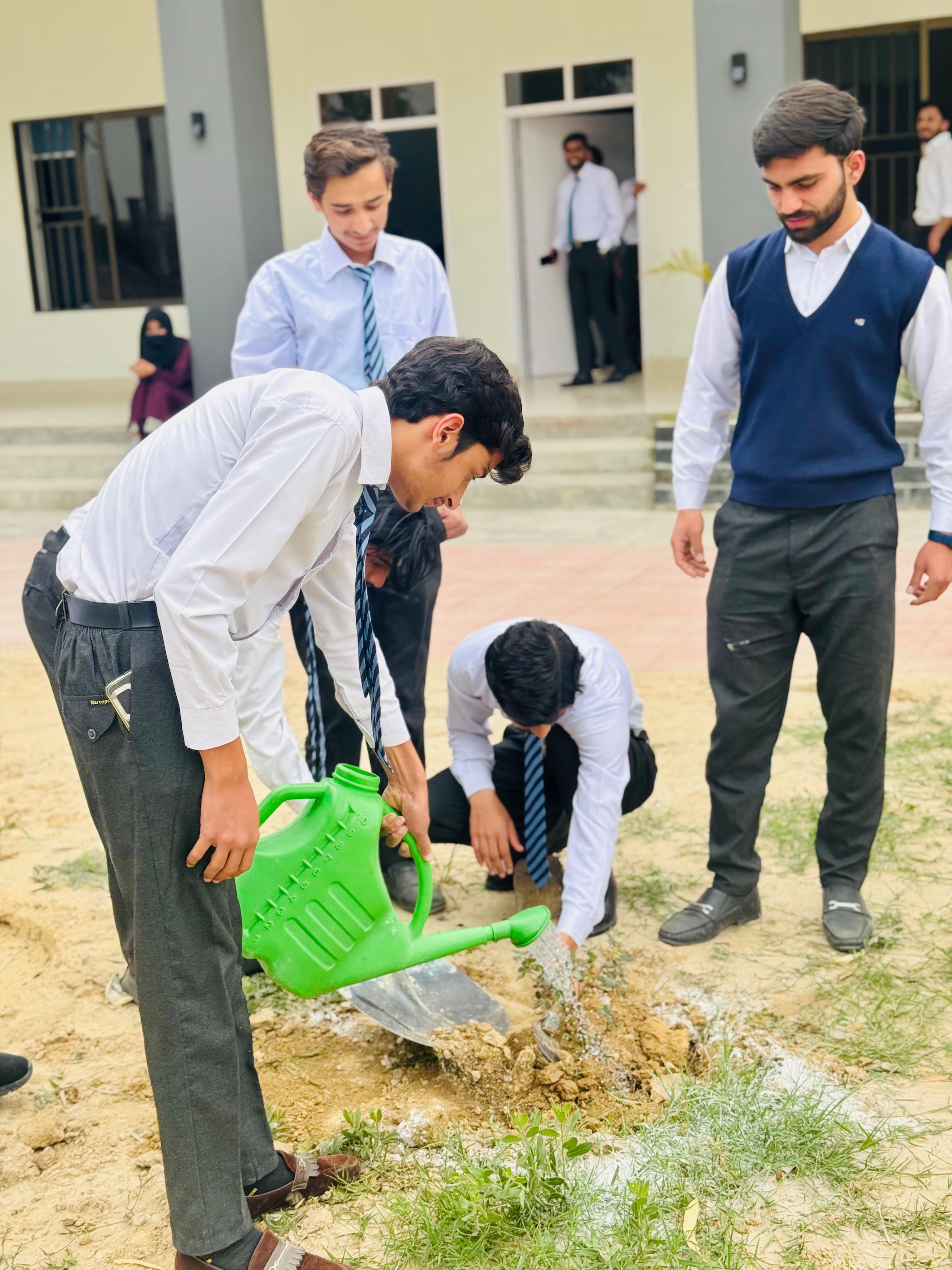 Tree Planting Activity